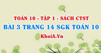 Bài 3 trang 14 SGK Toán 10 tập 1 Chân trời sáng tạo